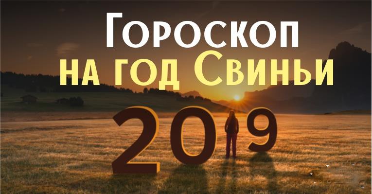 Год свиньи: общий гороскоп на 2019 для всех знаков зодиака