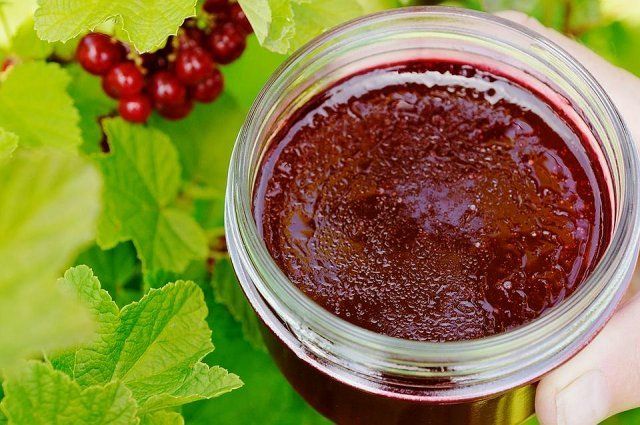 Что приготовить из смородины на зиму – простые рецепты вкусных заготовок Что приготовить из смородины на зиму – простые рецепты вкусных заготовок