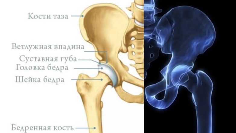 Почему по ночам болит тазобедренный сустав? Почему по ночам болит тазобедренный сустав?