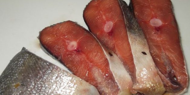 7 способов быстро и вкусно засолить горбушу в домашних условиях 7 способов быстро и вкусно засолить горбушу в домашних условиях