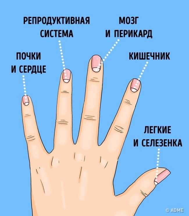 О чём предупреждают нас лунки на ногтях О чём предупреждают нас лунки на ногтях