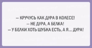 Подборка шуток об очаровательной женской логике Подборка шуток об очаровательной женской логике