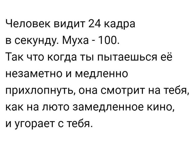 15 самых интересных коротких жизненных историй для отличного настроения! 15 самых интересных коротких жизненных историй для отличного настроения!
