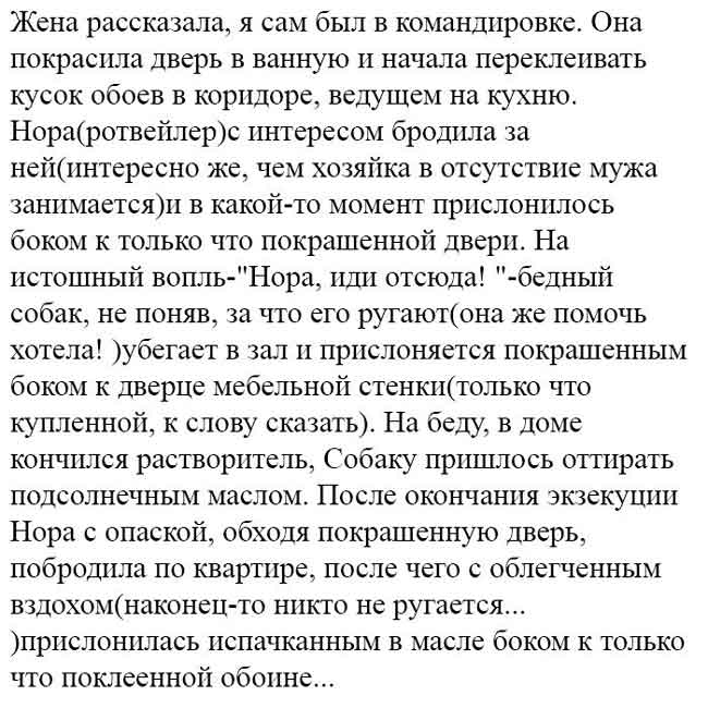 15 самых интересных коротких жизненных историй для отличного настроения! 15 самых интересных коротких жизненных историй для отличного настроения!