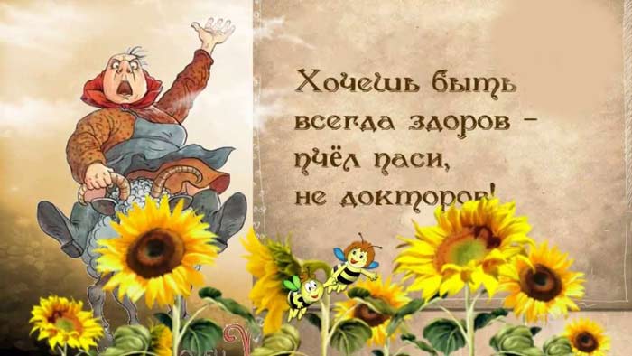 Воду пей перед едой – будешь долго молодой! Воду пей перед едой – будешь долго молодой!