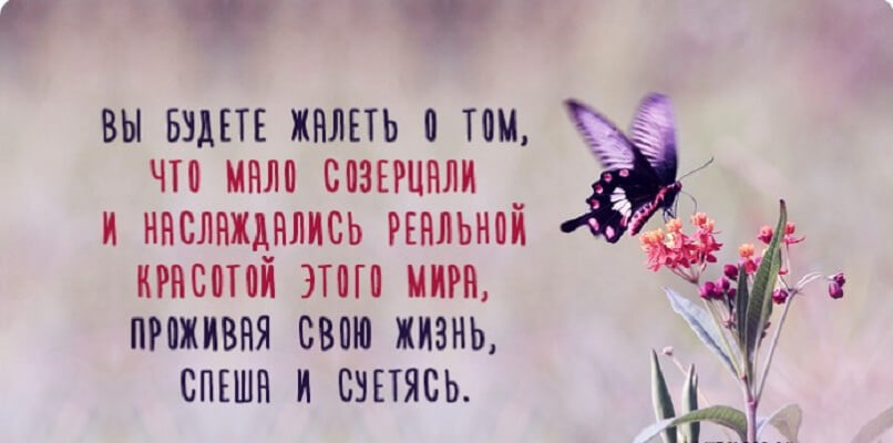 Решения, о которых вы обязательно будете жалеть в старости Решения, о которых вы обязательно будете жалеть в старости