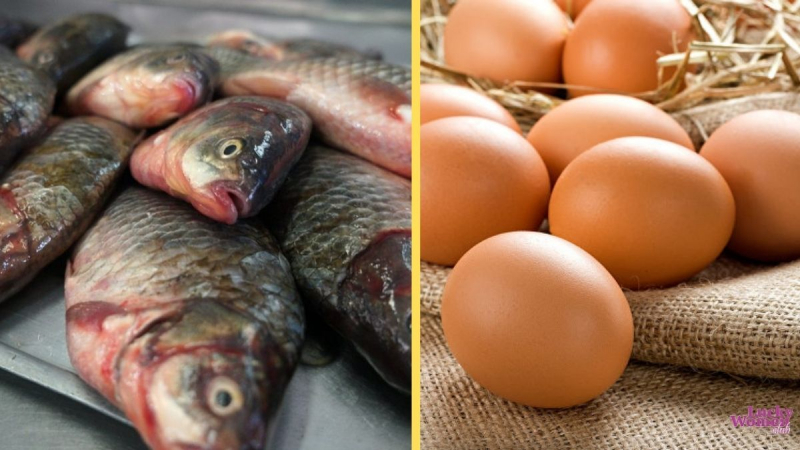 5 продуктов, которые улучшают работу мозга