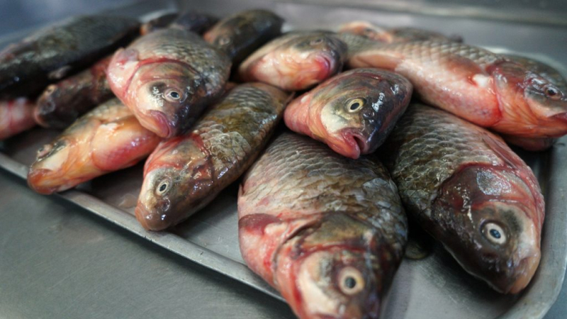 5 продуктов, которые улучшают работу мозга