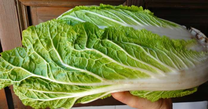 Как вкусно приготовить пекинскую капусту: важные нюансы плюс рецепты обалденных закусок