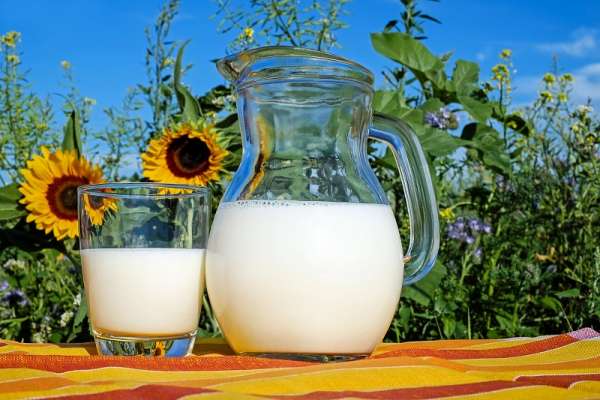 Чтобы не навредить здоровью: продукты, которые нельзя употреблять с молоком