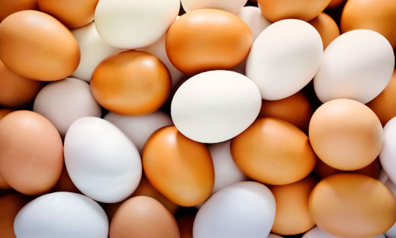11 продуктов, которые стоит включить в рацион женщинам 50-ти лет