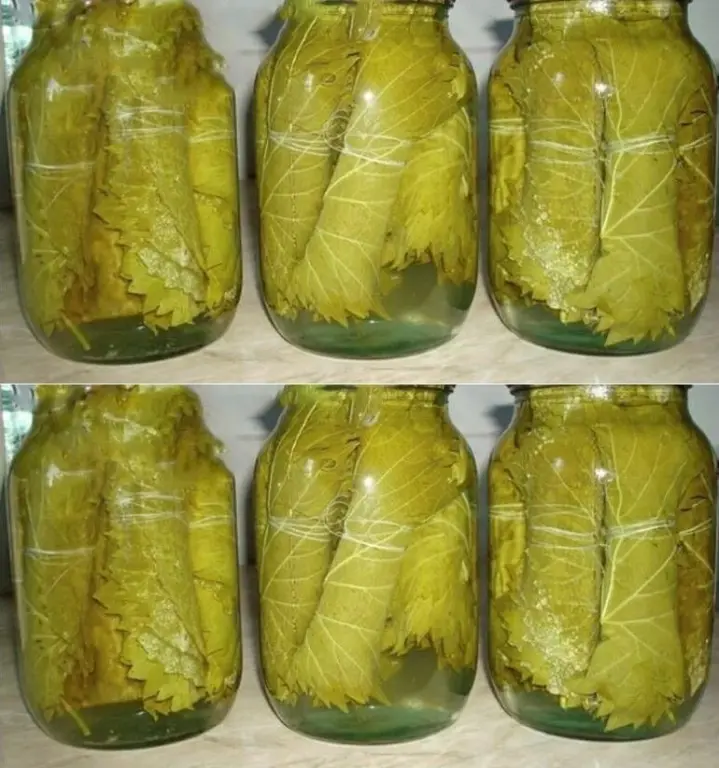 Наши бабушки знали, насколько вкусны фаршированные листья винограда, которые часто готовили без мяса и употребляли в постные дни 