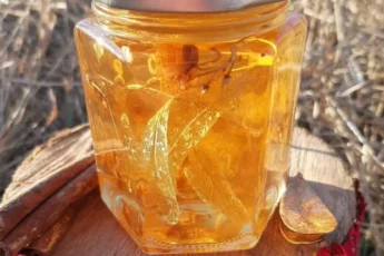 Уже начинается сезон: как приготовить вкусное варенье из липы, рецепт из 4 ингредиентов
