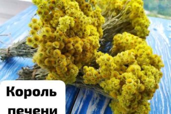 В 40 лет поставили мне диагноз - цирроз печени. Готовиться к смерти стала, да один древний дед меня спас и теперь ни одна болезнь меня не берёт, да и семейство своё я вылечила. Тётушку тоже от этого спасла. Вот какой рецепт дед тот древний мне дал: "Берёшь 3 столовые ложки…