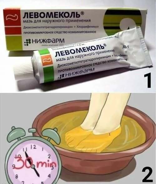 Левомеколь — настоящий кладезь похудения, о котором Вам не расскажут в аптеке! Лишь 1% людей знают, как правильно использовать Левомеколь, вместо 100 лишних лекарств, которые портят наш организм. Эти 5 способов помогут быстро похудеть и улучшить здоровье. Левомеколь — настоящий кладезь похудения, о котором Вам не расскажут в аптеке! Лишь 1% людей знают, как правильно использовать Левомеколь, вместо 100 лишних лекарств, которые портят наш организм. Эти 5 способов помогут быстро похудеть и улучшить здоровье.