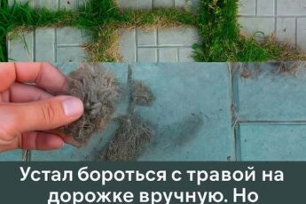 Устал бороться с травой на дорожке вручную. Но узнал простой метод от доброй соседки