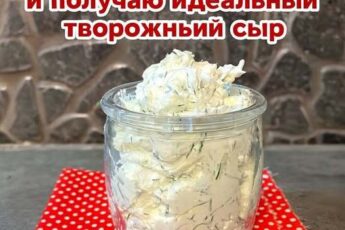Замораживаю кефир и получаю идеальный творожный сыр: делюсь рецептом