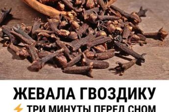 Mаленькая привычка с огромной пользой для здоровья Когда я впервые начала жевать гвоздику вечером, я думала, что это просто лайфхак из разряда «народные средства». Но уже через пару дней.......