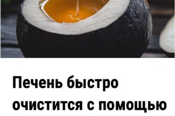 Пeчeнь быстро очистится с помощью 5 продуктов: ешьте регулярно.