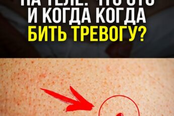 Ваша судьба никого не волнует: 15 суровых принципов существования, о которых умалчивают