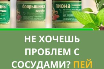 Не хочешь проблем с сосудами — просто пей этот коктейль!