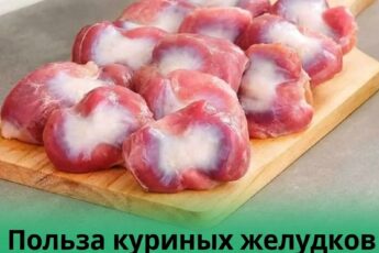 Польза куриных желудочков для здоровья – по результатам докторских исследований