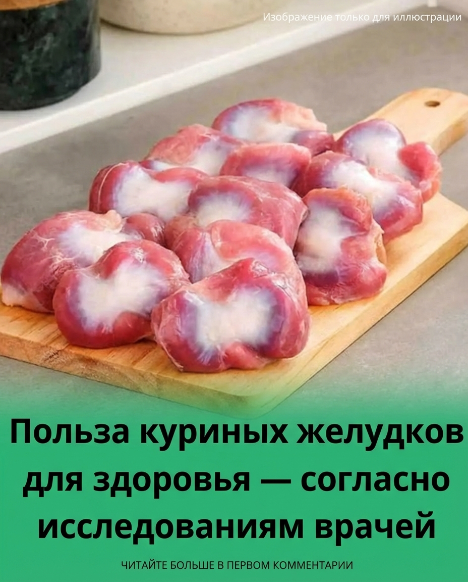 Польза куриных желудочков для здоровья – по результатам докторских исследований