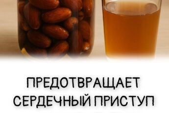 ПРЕДОТВРАЩАЕТ СЕРДЕЧНЫЙ ПРИСТУП И ИНСУЛЬТ!