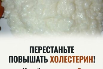 Прекратите вредить своему организму и повышать уровень холестерина. Исключите из рациона эти 5 продуктов, если вы уже в пожилом возрасте