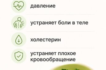 ПОЖИЛЫЕ ЛЮДИ !!: Этот 1 Лист снижает диабет, давление, устраняет боли в теле, холестерин и устраняет плохое кровообращение. (Врачи НЕНАВИДЯТ Его!)