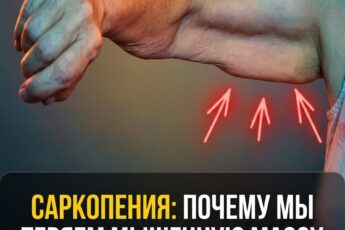 Почему мы теряем мышцы и как это исправить...