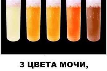 3 цвета мочи, которые сигналят о ...