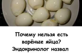 Почему нельзя есть варёные яйца? Эндокринолог назвал 3 веские причины для пожилых...