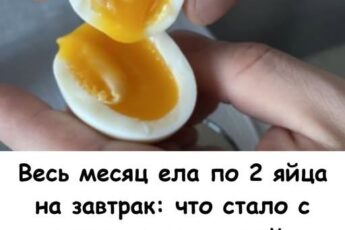 Весь месяц ела по 2 яйца на завтрак: что стало с моим весом, кожей и холестерином (честный эксперимент) Как на самом деле живется женщинам в Саудовской Аравии? Как на самом деле живется женщинам в Саудовской Аравии? More Details Ох уж эти яйца! Сколько споров вокруг них ведется: то врачи пугают холестерином и советуют есть не больше двух штук в неделю, то нутрициологи называют их «суперфудом» и призывают есть каждый день. Я долгое время осторожничала. Возраст всё-таки не юный, за сосудами следить надо. Ела омлет по выходным и думала, что берегу здоровье. Но недавно прочитала исследование о том, что пищевой холестерин в яйцах и тот, что забивает сосуды — это разные вещи. И решила провести свой маленький домашний эксперимент. Дочь Аллы Пугачевой не похожа на сверстников. Что же с ней не так Подробнее Целый месяц я съедала ровно по два яйца каждый день. Варила, жарила без масла, делала пашот. Результаты меня, честно говоря, удивили. Некоторые мифы в моей голове рассыпались в пух и прах. Делюсь с вами своими наблюдениями: что изменилось в самочувствии, внешности и (самое страшное!) в анализах. 1. Энергия перестала «скакать» Раньше к 11 утра мне уже хотелось перекусить. Чай с печеньем, бутерброд… Казалось, что завтрак «провалился». Но стоило ввести в рацион яйца, как всё изменилось. Яйца — это эталонный белок. Он усваивается идеально, но при этом дает очень долгое чувство сытости. Что я заметила: Позавтракав яичницей в 8 утра, я спокойно доживала до обеда без урчания в животе и желания съесть конфету. 6 ч 8 мин назад Диетологи не советуют принимать эти продукты регулярно Еще 386 86 370 9 ч 16 мин назад Продукты, которые нельзя есть каждый день Еще 459 25 96 1 ч 28 мин назад Куда делся Родион Газманов? Слухи оправдались Еще 369 128 213 7 ч 12 мин назад Пенсионерам до 8 октября рекомендовано привиться Еще 405 191 238 Энергия стала ровной, ушла вялость и сонливость после еды. Оказывается, белковый завтрак работает лучше любой каши. 2. Ногти перестали ломаться (приятный бонус) Примерно через две недели я обратила внимание на свои руки. Обычно зимой мои ногти слоятся и ломаются от любого прикосновения. А тут — крепкие, ровные, растут быстро. И волосы на расческе стали оставаться в меньшем количестве. Секрет прост: в желтке содержится биотин (витамин красоты) и сера. Это главные строительные кирпичики для наших волос и ногтей. Никакие дорогие шампуни не дадут такого эффекта, как питание изнутри. 1 ч 47 мин назад Врачи рассказали о 10 необыкновенных свойствах чеснока Еще 439 159 101 2 ч 44 мин назад Вы не поверите! Эти растения способны отравить всю вашу семью! Еще 459 101 276 3. Мозг заработал яснее В яйцах есть вещество с красивым названием холин. Это витамин В4, который критически важен для нашего мозга и памяти. Я заметила, что стала меньше забывать мелочи (куда положила очки, что нужно купить). Голова стала какой-то «светлой», легче концентрироваться на делах. Для нас, людей старшего возраста, профилактика возрастной забывчивости — это очень важно. И пара яиц справляется с этим на отлично. 4. А что с весом? Я не ставила цель похудеть. Но когда ты сыт и доволен до самого обеда, ты просто перестаёшь «кусочничать». Ушли лишние перекусы, чай с сахаром и печеньем. В итоге за месяц незаметно ушли 1,5 кг. Без диет и голодовок. Просто за счет того, что организм получал качественный белок и не требовал «быстрых» углеводов. 5. Главный страх: холестерин Это то, чего я боялась больше всего. «Вдруг сосуды забьются?» — думала я. В конце месяца я специально сдала кровь. И знаете что? Мой холестерин остался в норме! Врач объяснил: печень сама вырабатывает 80% холестерина. И если мы получаем его из еды (в разумных пределах!), печень просто снижает свою выработку. Более того, в яйцах есть лецитин, который, наоборот, не дает «плохому» холестерину оседать на стенках сосудов. Так что миф о том, что яйца — враг сердца, давно устарел (если, конечно, не жарить их на сале с беконом). Как я их готовила, чтобы было полезно Чтобы получить пользу, а не вред, я соблюдала простые правила: Желток должен быть жидким. Варила всмятку или делала глазунью. Переваренный желток (с серым ободком) усваивается хуже и теряет часть витаминов. Без майонеза. Ела с овощами, зеленью или просто с кусочком цельнозернового хлеба. Минимум масла. Если жарила, то на капле топленого масла или просто на антипригарной сковороде. Вывод Не бойтесь яиц! Это самый доступный и дешевый «суперфуд» в нашем холодильнике. Два яйца в день подарили мне бодрость, крепкие ногти и минус пару сантиметров в талии. А страшилки про холестерин оказались просто страшилками. Важно! Статья носит информационный характер и основана на личном опыте. Реакция организма индивидуальна. При наличии камней в желчном пузыре или аллергии обязательно консультируйтесь с врачом.